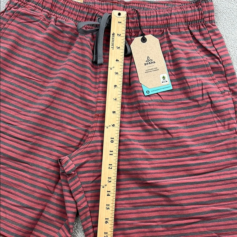NEW Prana L Metric E-Waist Short Rust Stripe Men's Striped Red Shorts‎